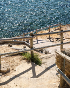 oursin 27 Juillet 2025 _ 3 (13 sur 70)