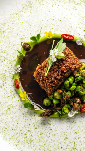 oursin food (178 sur 201)