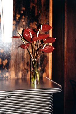 Arcane 17_Axel Aurejac_15